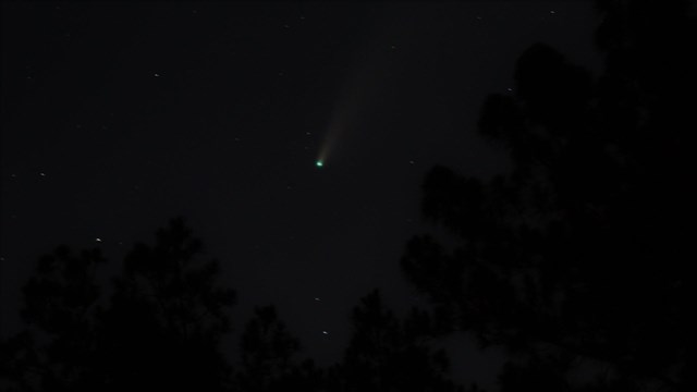 2020 Comet Neowise and trees